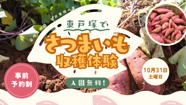 さつまいも収穫体験